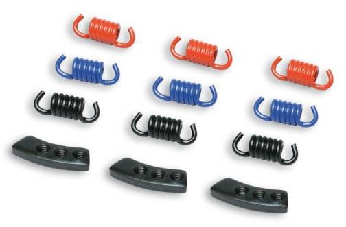 Malossi Delta/Fly spring/weight kit